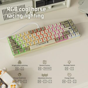 AJAZZ AK680 RGB MECHANiCAL GAMiNG KEYBOARD BLUE SWiTCH GRAY-WHiTE 10