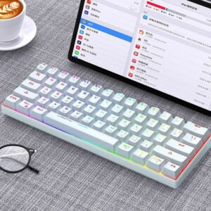 LANGTU G1000 RGB WiRELESS MECHANiCAL KEYBOARD BLUE SWITCH WH 101 (3)